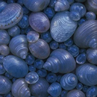 💙