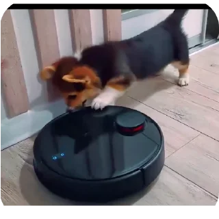 👍