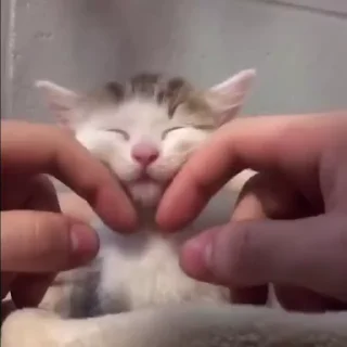 🥰