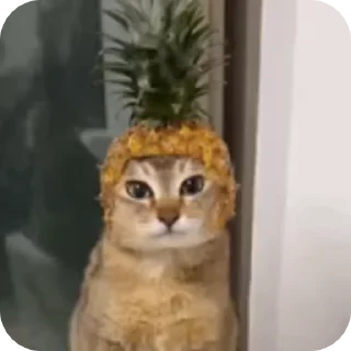 🙂