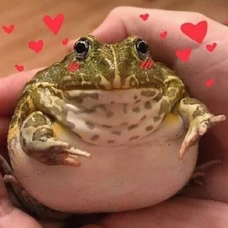 💚
