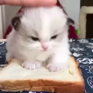 😳