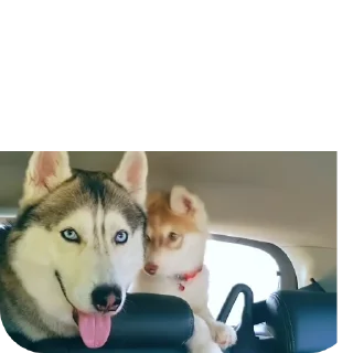 👍