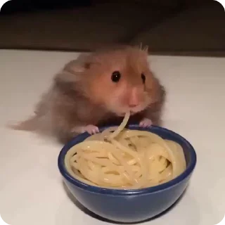 🍜