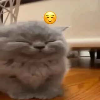 ☺️