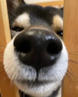 💞