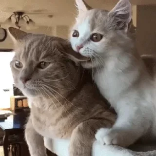 💕