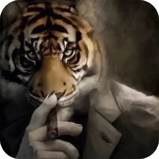 🚬