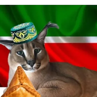 🧕