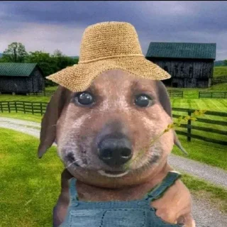 👨‍🌾