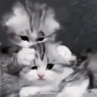 🍙