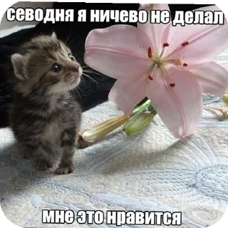 👍