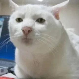 😐