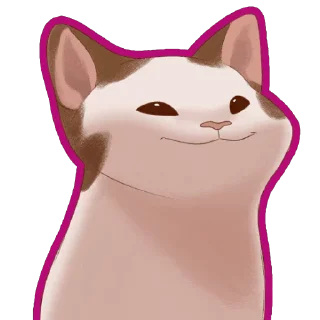 😼