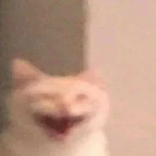 😄