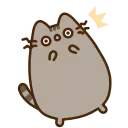 🙀