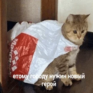 👻