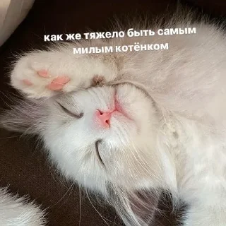 💗