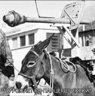 🐴