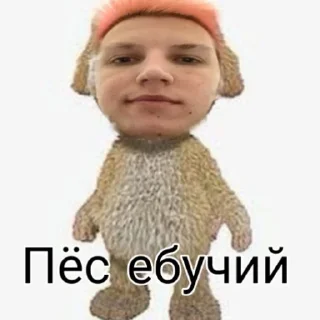 🐶