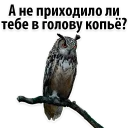 😂