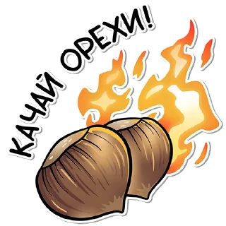 🌰