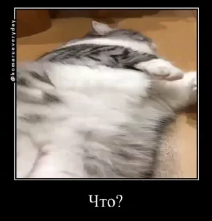 🤔