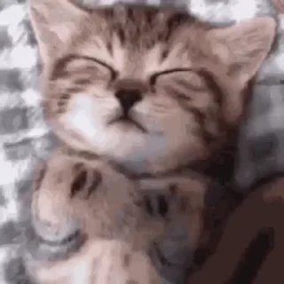 😴