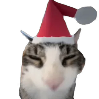 🎄