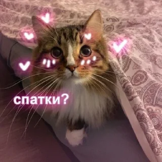 🌚