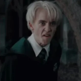 🐍