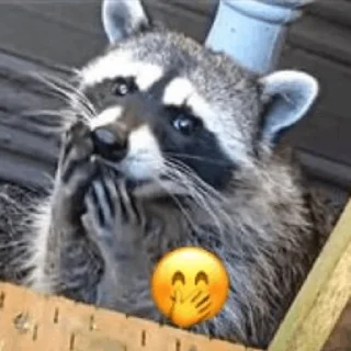 🤭