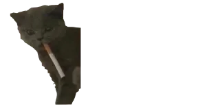 🚬