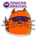 Cat the designer