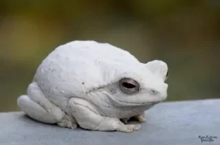 🤨