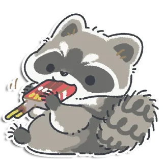 🦝