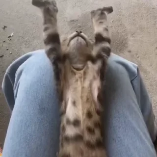 🤤