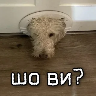 🧐