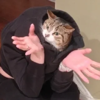 🙄