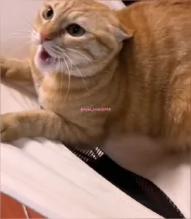 🤕