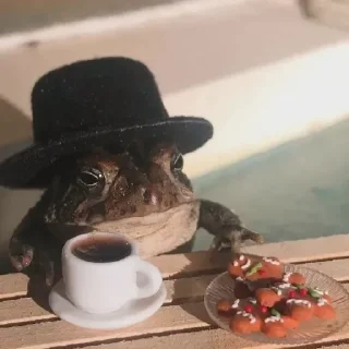 🎩