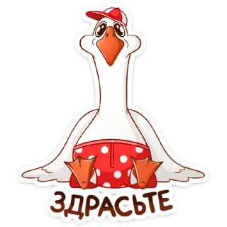 Федька в плавках (@TgSticker)