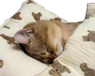 🛏