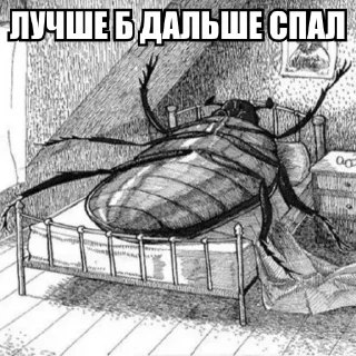 💤