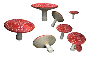 🍄