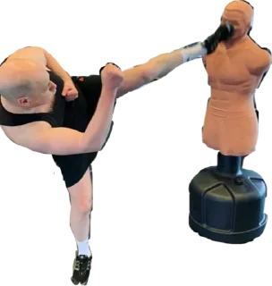 Дмитрий Гордон