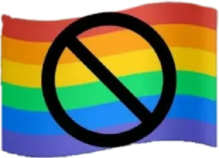 🏳‍🌈