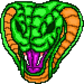 🐍