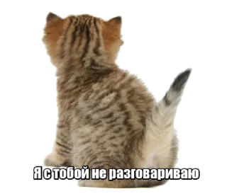 👊