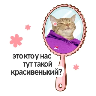 😍